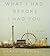 What I Had Before I Had You: A Novel