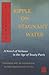 Ripple on Stagnant Water: A Novel of Sichuan in the Age of Treaty Ports
