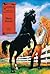 Black Beauty by Saddleback Educational Publ...