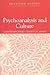 Psychoanalysis and Culture by Rosalind Minsky