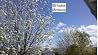 100 Positive Affirmations 100 Positive Affirmations