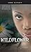 Wildflower