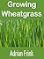 Growing Wheatgrass: How to grow wheatgrass and the benefits of wheatgrass explained. Growing your own wheatgrass will give you all the wheatgrass benefits and wheatgrass juice benefits
