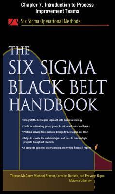 The Six SIGMA Black Belt Handbook, Chapter 7 - Introduction to Process Improvement Teams