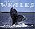 Adelina's Whales