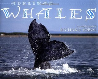 Adelina's Whales (Hardcover)