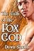 The Tails of the Fox God: BBW Shifter Romance