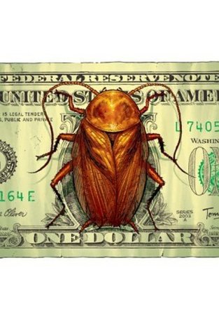 The Exterminators, Vol. 4: Crossfire and Collateral (Paperback)