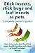 Stick insects, stick bugs a...