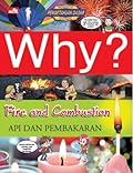 Fire & Combustion - Api dan Pembakaran