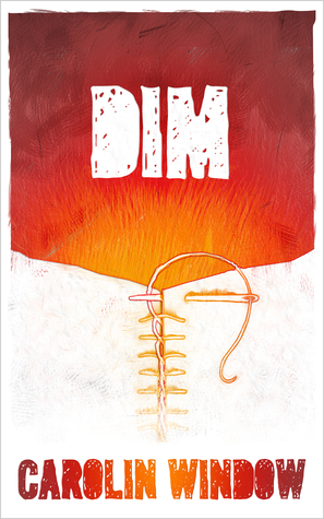 DIM (Kindle Edition)
