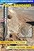 Parcel Boundary (Surveying Mathematics Made Simple Book 5)