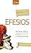 Comentario bíblico con aplicación NVI Efesios by Klyne R. Snodgrass