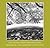 Lee Friedlander: Photographs Frederick Law Olmsted Landscapes