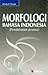 Morfologi Bahasa Indonesia by Abdul Chaer