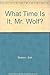 What Time Is It, Mr. Wolf?