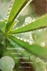 Awareness: Exploring, Experimenting, Experiencing (Paperback)