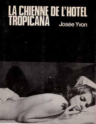 La chienne de l'hôtel Tropicana