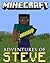 Minecraft: The Adventures of Steve: #1 Origins (A Minecraft Novel)