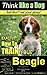 Beagle, Beagle Training AAA...