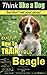 Beagle, Beagle Training AAA AKC: Think Like a Dog, But Don’t Eat Your Poop! | Beagle Breed Expert Training |: Here's EXACTLY How To TRAIN Your Beagle