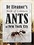 Dr. Eleanor’s Book of Common Ants of New York City by Eleanor Spicer Rice
