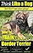 Border Terrier, Border Terrier Training; Think Like a Dog, But Don’t Eat Your Poop! | Border Terrier Breed Expert Training |: Here's EXACTLY How To Train ... Terrier, Border Terrier Training, Book 1)