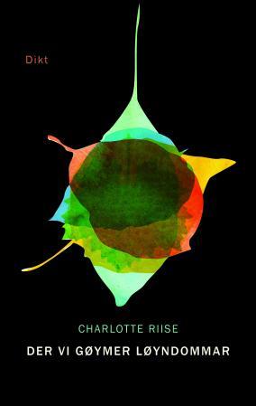 Der vi gøymer løyndommar (Paperback)