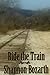 Ride the Train