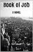 Book of Job: A Novel