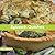 Spinach Quiches (Delicious Quiches Book 1)