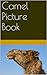 Camel Picture Book by Pam Sherman