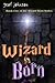 Wizard Born (Wizard Born, #1)