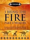I Bring the Fire by C. Gockel