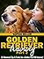 Golden Retriever Training, Part 2: 10 Advanced Tips & Tricks for a Golden That Will Impress!