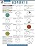Geometry 2 - REA's Quick Ac...