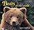 Bears of the World (Worldlife Discovery Guides)