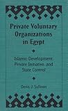 Private Voluntary Organizations in Egypt: Islamic Development, Private Initiative, and State Control Private Voluntary Organizations in Egypt: Islamic Development, Private Initiative, and State Control