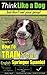 English Springer Spaniel | ...