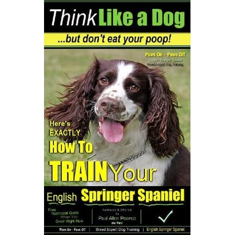 english springer spaniel puppy training