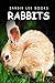 Rabbits - Sandie Lee Books (children's animal books age 4-6, wildlife photography, animal books nonfiction)