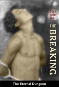 The Breaking by Dusk Peterson book cover