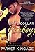 White Collar Cowboy (Shadow Maverick Ranch, #1)