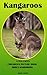 Kangaroos: A Fun Facts Childrens Picture Book About Kangaroos (Fun Facts Childrens Picture Books 1)