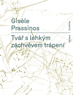 Tvář s lehkým záchvěvem trápení (Paperback)
