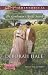 The Gentleman's Bride Search (Glass Slipper Brides, #5)