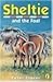 Sheltie and the Foal (Shelt...