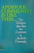 Apostolic Community is Like This: Ten Religious Share Their Own Experience of Apostolic Community