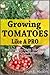 Growing Tomatoes Like A Pro: How to Grow Juicy, Colorful, Tasty, Organic Tomatoes in Your Backyard & in Containers
