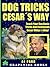 Dog Tricks The Pack Leader's Way! : Basic Tricks and Commands for Pack Leaders! (The Cesar Millan & Konrad Lorenz Dog Training Revolution) (Pack Leader Training Trilogy Book 2)